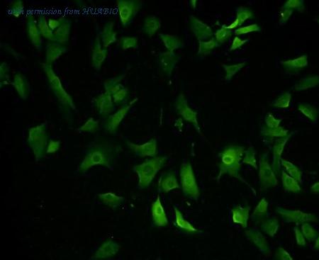 HUABIO R1401-23 image 3