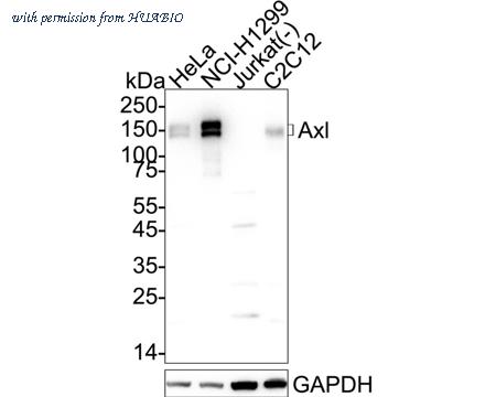 HUABIO R1406-3 image 1