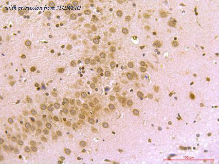 HUABIO R1508-4 image 2