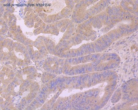 HUABIO R1510-12 image 2