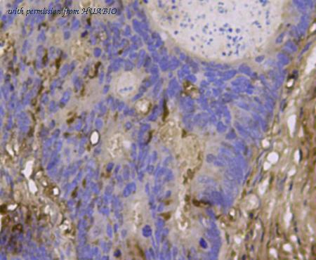 HUABIO R1510-15 image 3