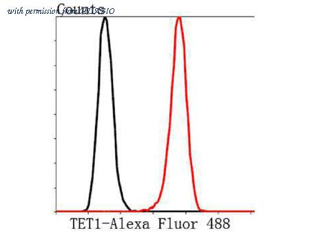 HUABIO R1510-17 image 3