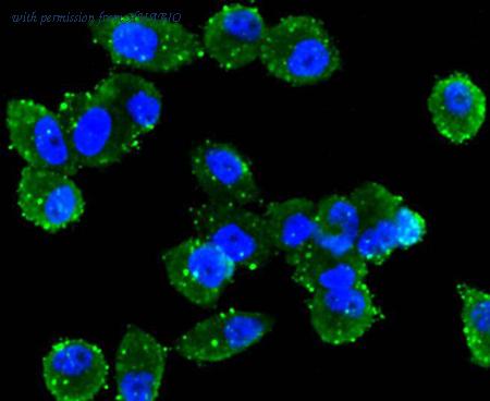 HUABIO R1510-42 image 2