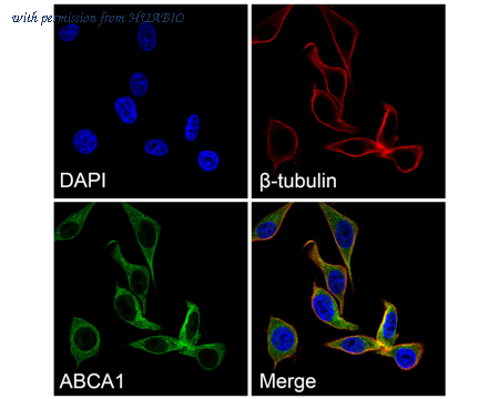 HUABIO R1510-42 image 3