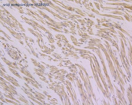 HUABIO R1510-7 image 3