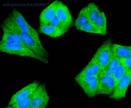 HUABIO R1510-8 image 2