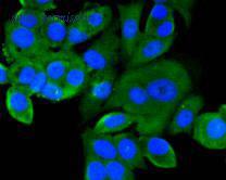 HUABIO R1510-8 image 3