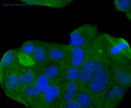 HUABIO R1512-1 image 2