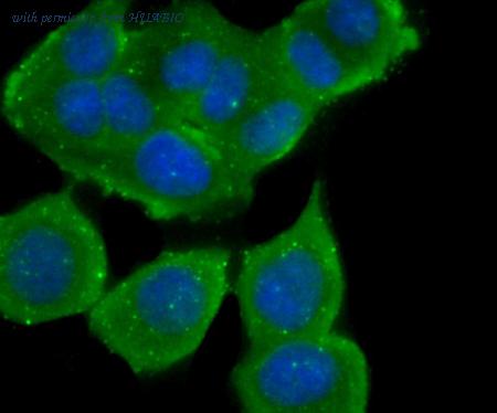 HUABIO R1512-1 image 3