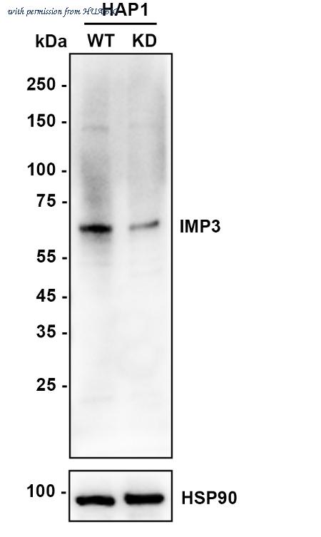 HUABIO R1512-10 image 2
