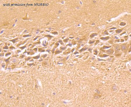 HUABIO R1512-10 image 3