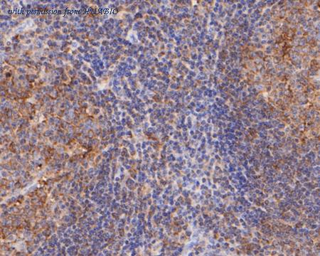 HUABIO R1512-4 image 3