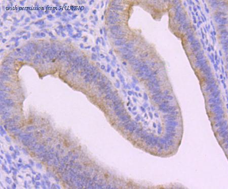 HUABIO R1601-8 image 3