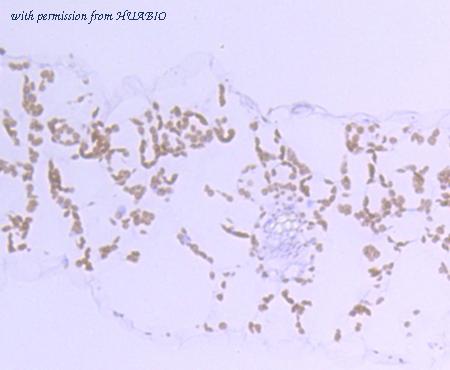 HUABIO R1608-2 image 3