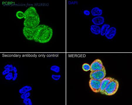 HUABIO R1608-6 image 2