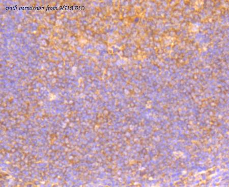 HUABIO R1608-7 image 2