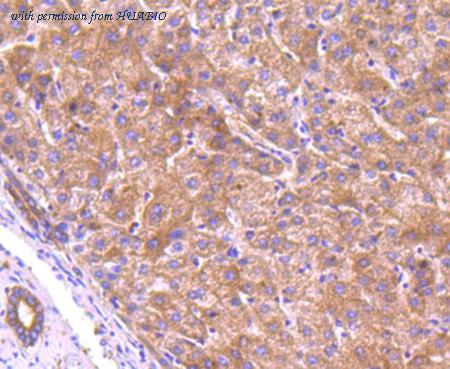 HUABIO R1608-7 image 3