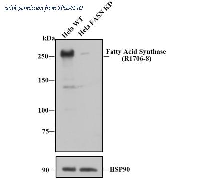HUABIO R1706-8 image 1