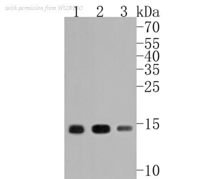 HUABIO ET1706-28-50UL image 1
