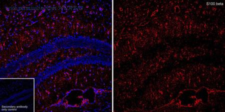 HUABIO HA601550 image 1