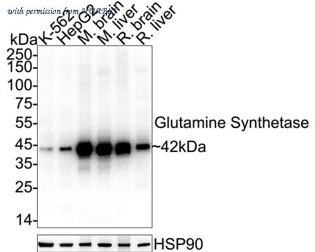 HUABIO HA610268 image 2