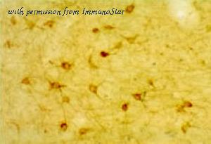 ImmunoStar 24288 image 1