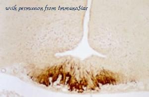 ImmunoStar 20084 image 1