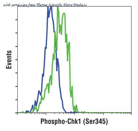 Invitrogen MA5-15145 image 3