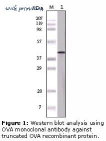 LifeSpan Biosciences LS-C47187 image 1