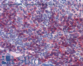 LifeSpan Biosciences LS-B3663 image 1