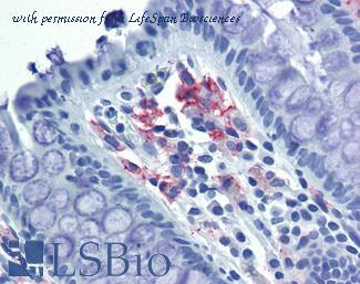 LifeSpan Biosciences LS-B3782 image 1