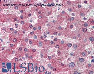 LifeSpan Biosciences LS-B6142 image 2