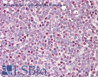 LifeSpan Biosciences LS-B9756 image 1