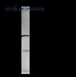 LifeSpan Biosciences LS-C342487 image 2