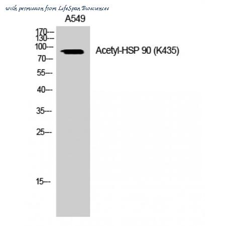 LifeSpan Biosciences LS-C380587 image 1