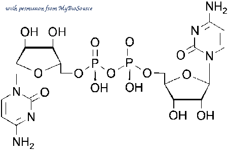 MyBioSource MBS256046 image 1