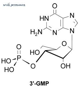 MyBioSource MBS256218 image 1