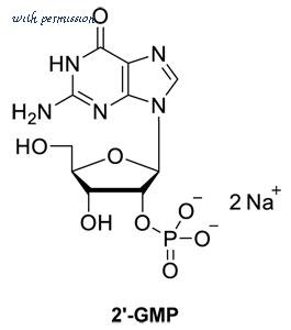 MyBioSource MBS256228 image 1