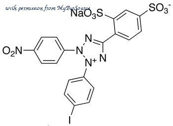 MyBioSource MBS6034044 image 1