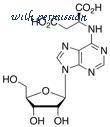 MyBioSource MBS6061785 image 1