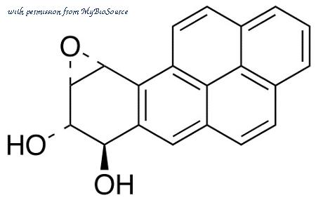 MyBioSource MBS6101688 image 1