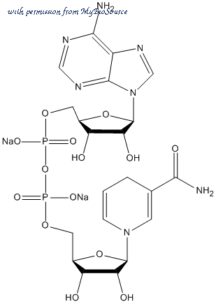 MyBioSource MBS842206 image 1