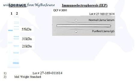 MyBioSource MBS687394 image 2