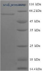 MyBioSource MBS1002082 image 1