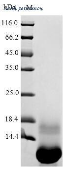 MyBioSource MBS1102241 image 1