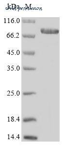 MyBioSource MBS1325135 image 1