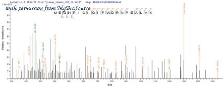 MyBioSource MBS1346594 image 1