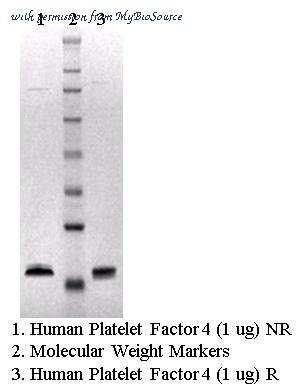 MyBioSource MBS135676 image 1