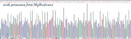 MyBioSource MBS2009331 image 3