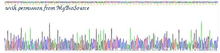 MyBioSource MBS2009449 image 2